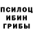 Галлюциногенные грибы GOLDEN TEACHER Karchheta