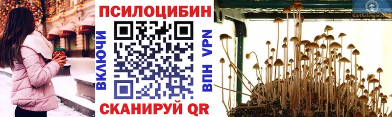 Псилоцибиновые грибы ЛСД  Сызрань 